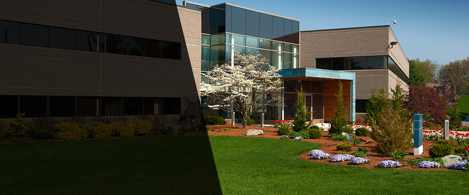 Odenton Landscapers