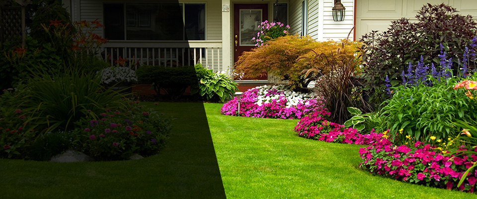 Odenton Landscapers