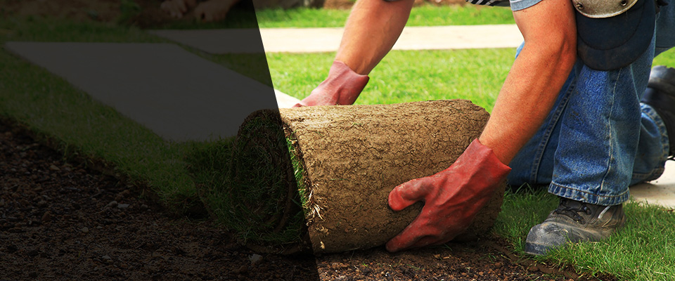Odenton Landscapers